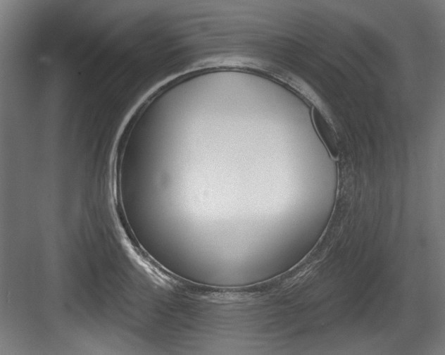 X0000084021132200702160819