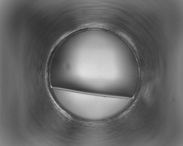 X0000084021133200702160819