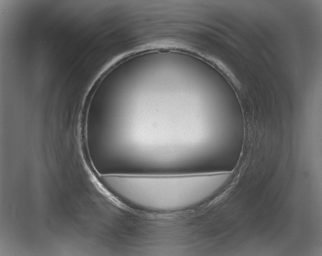 X0000084021134200702160819
