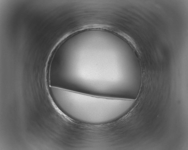 X0000084021135200702160819