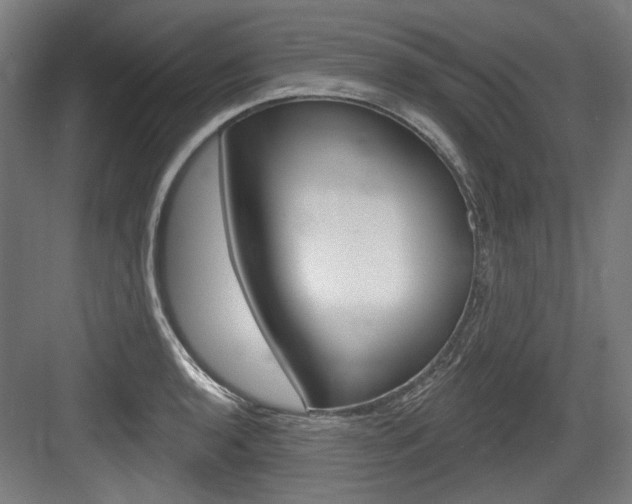 X0000084021136200702160819