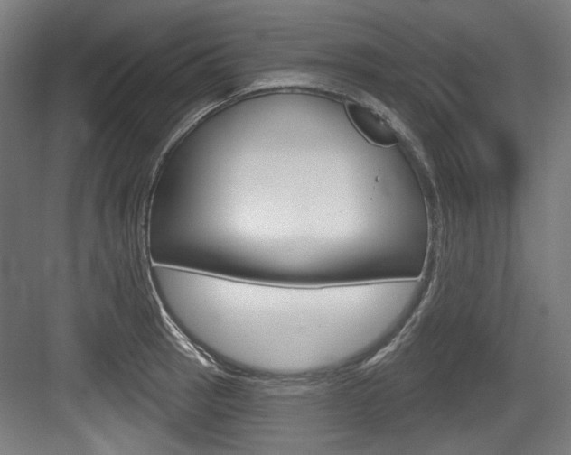 X0000084021137200702160819