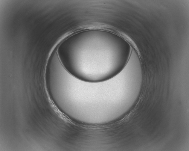 X0000084021138200702160819