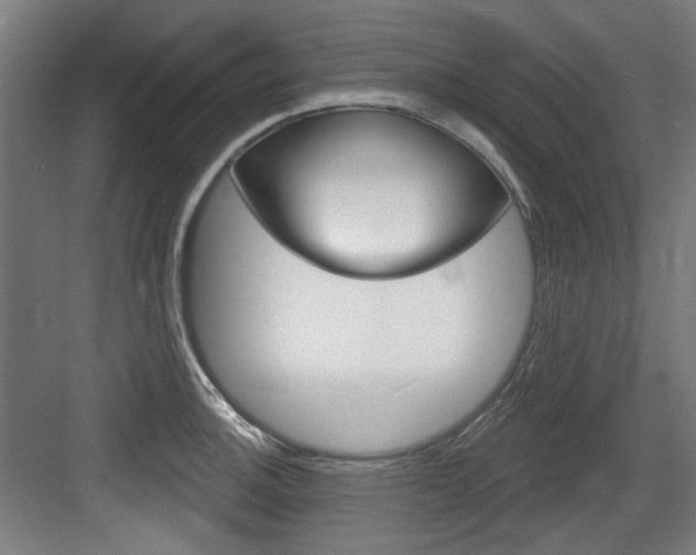 X0000084021140200702160819