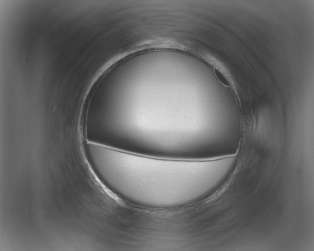 X0000084021141200702160819
