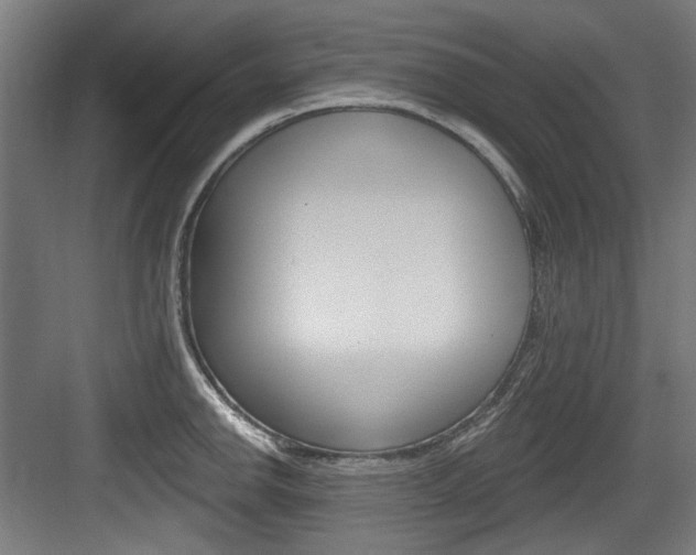 X0000084021142200702160819
