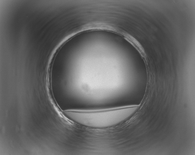 X0000084021144200702160819