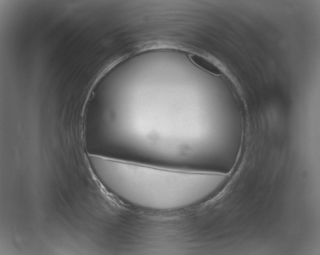 X0000084021145200702160820