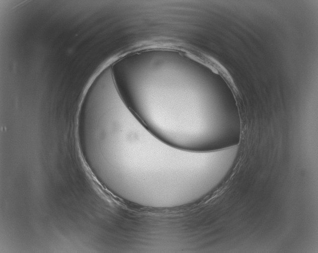 X0000084021146200702160820