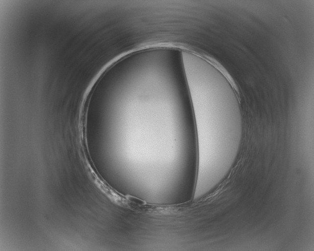 X0000084021148200702160820