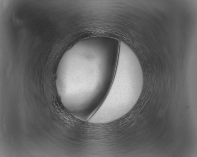 X0000084021153200702160819