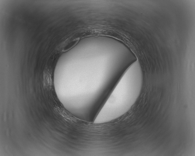 X0000084021155200702160819