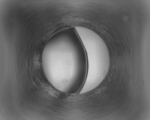 X0000084021156200702160819