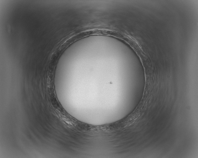 X0000084021159200702160819