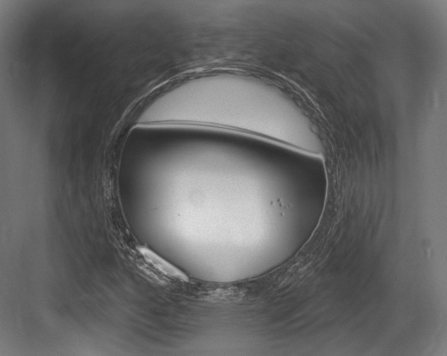X0000084021160200702160819