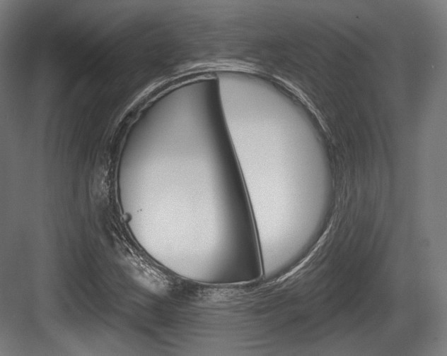 X0000084021163200702160819