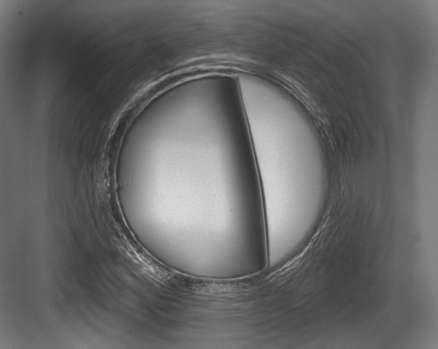 X0000084021164200702160819
