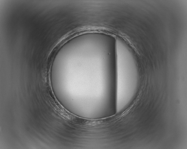 X0000084021165200702160819