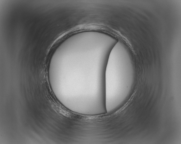 X0000084021166200702160819