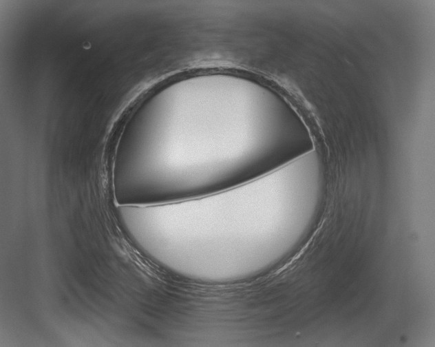 X0000084021167200702160819