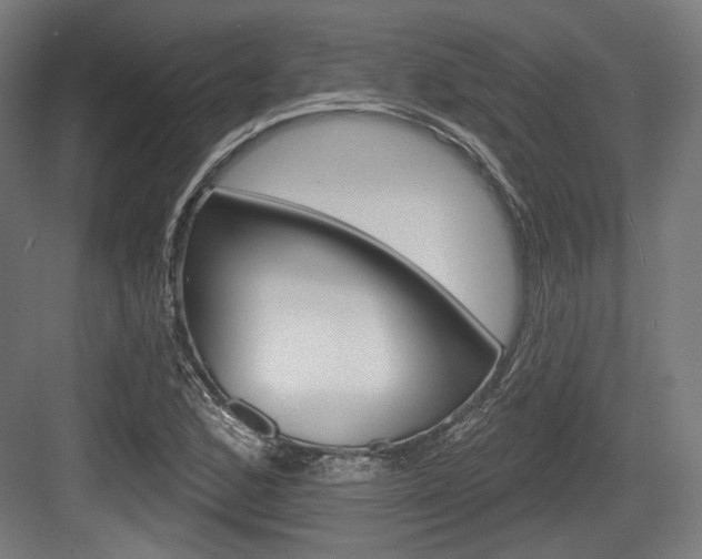 X0000084021168200702160819
