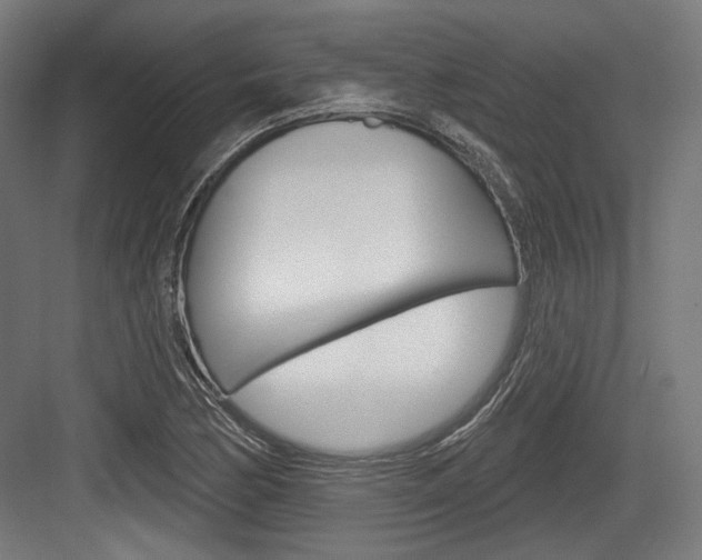 X0000084021170200702160819