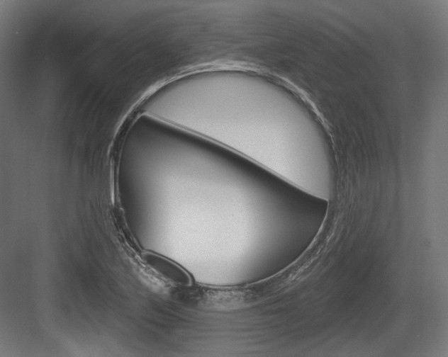 X0000084021171200702160819