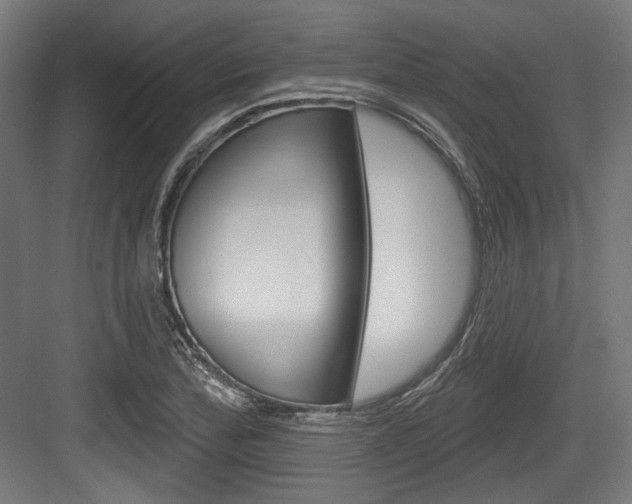 X0000084021172200702160818