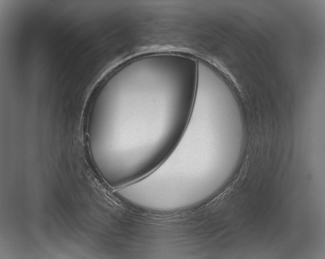 X0000084021173200702160818