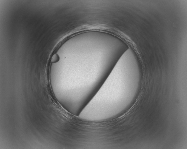 X0000084021174200702160818