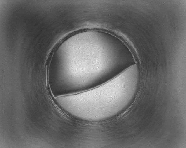 X0000084021175200702160818