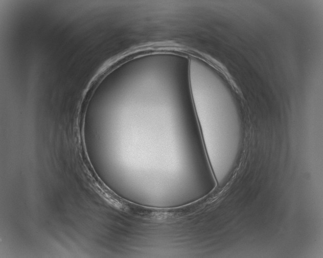 X0000084021176200702160818