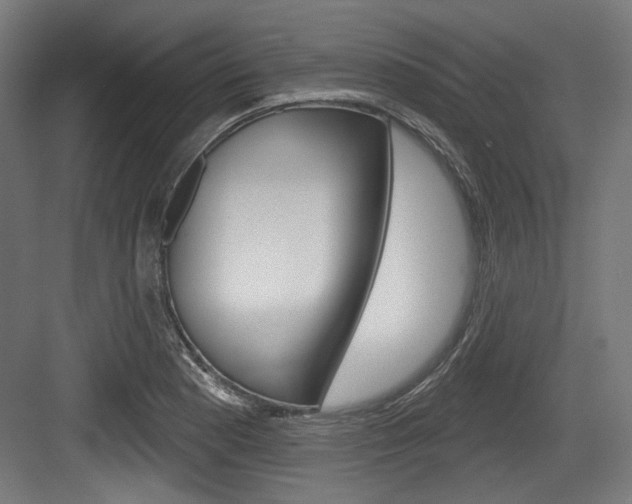 X0000084021177200702160818