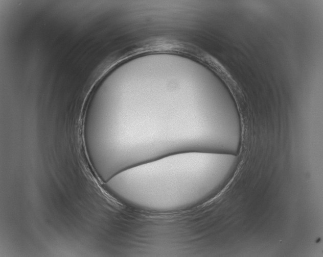 X0000084021178200702160818