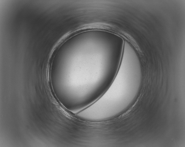 X0000084021180200702160818
