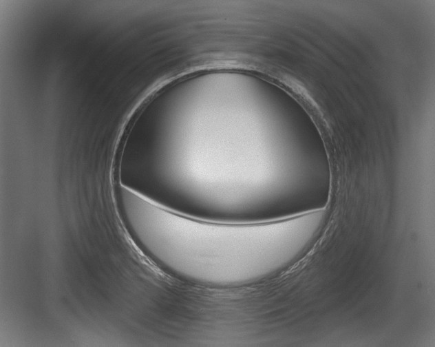 X0000084021181200702160818