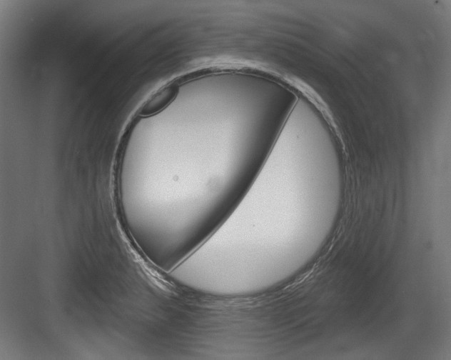 X0000084021183200702160818