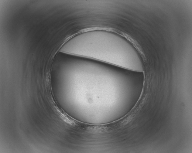 X0000084021185200702160818
