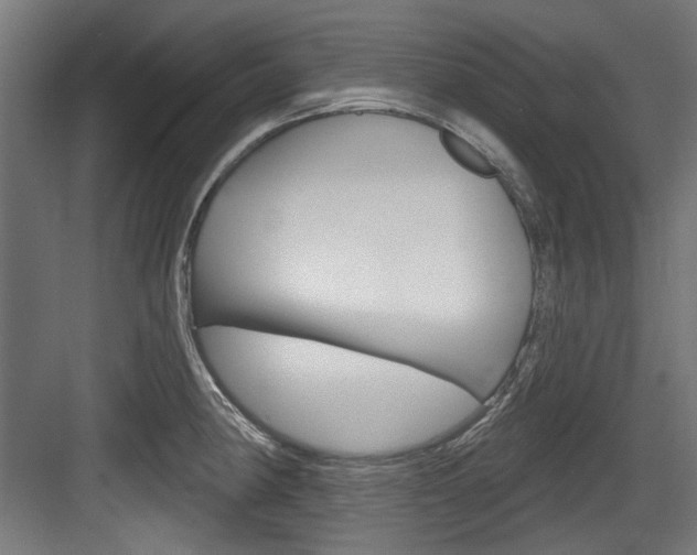 X0000084021190200702160818