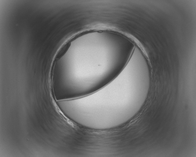 X0000084021191200702160818