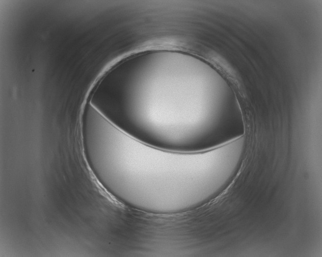 X0000084021192200702160818