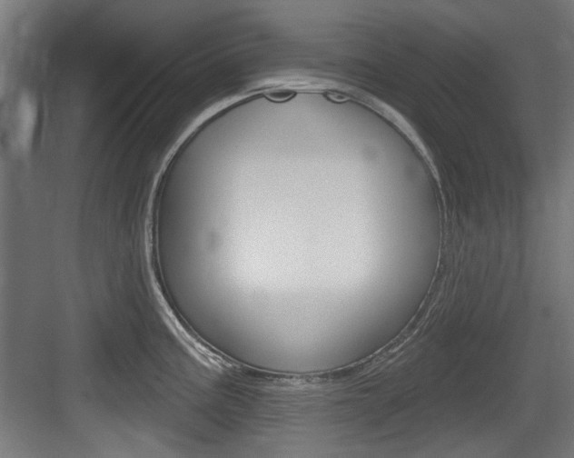 X0000084021195200702160818