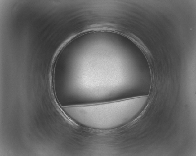 X0000084021196200702160818