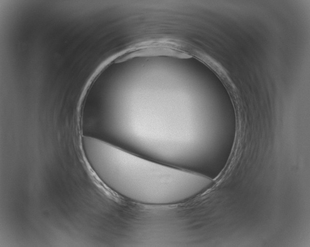 X0000084021200200702160818