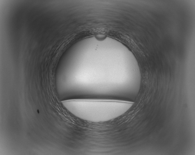 X0000084021201200702160817
