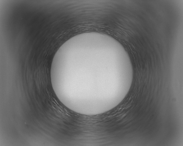 X0000084021202200702160817