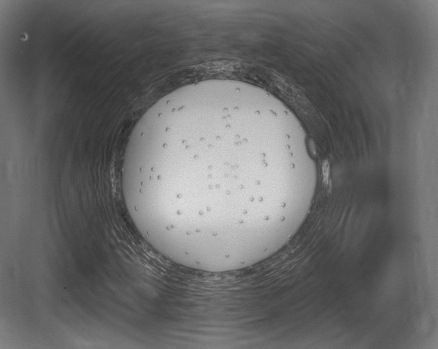 X0000084021203200702160817