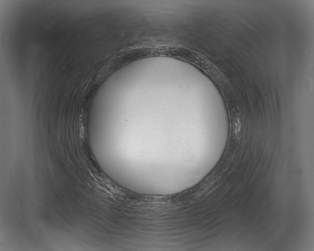 X0000084021204200702160817