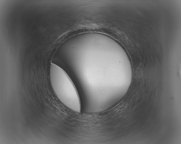 X0000084021205200702160817
