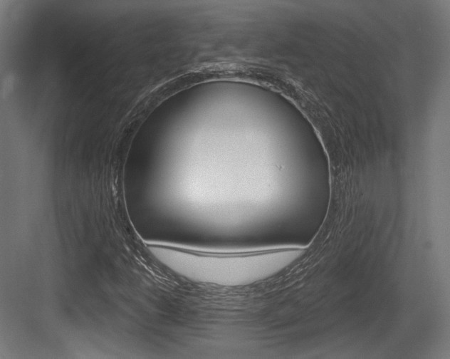 X0000084021206200702160817